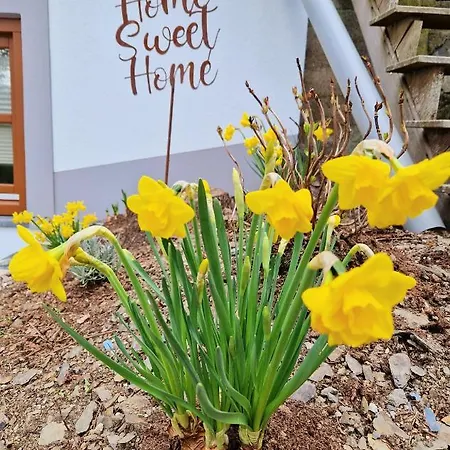 Daffodils Alpesi faház