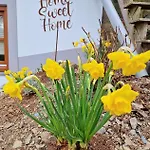 Daffodils 샬레